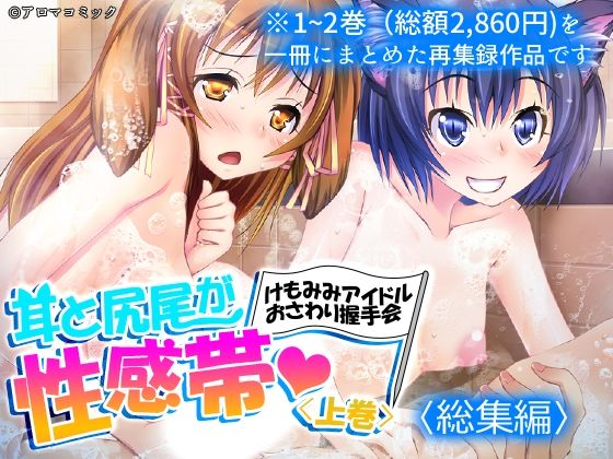 耳と尻尾が性感帯・けもみみアイドルおさわり握手会  ＜総集編＞ アイキャッチ画像 【無料≫同人誌】